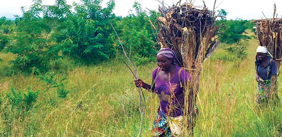 wr-amavida-blog-run-across-congo-roast-magazine