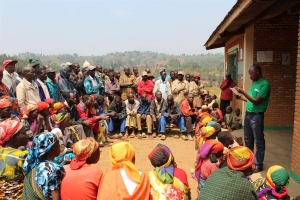 Sustainable Burundi coffee from Nemba