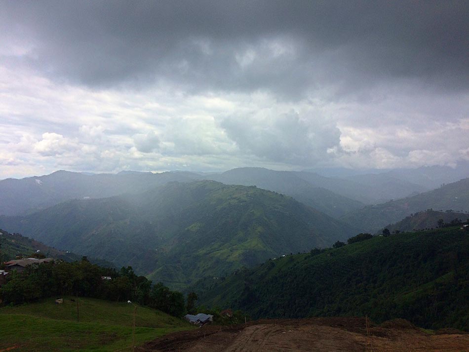 Roaster of the Year- Colombia Coffee Fields