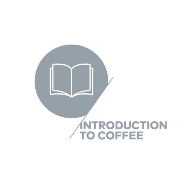 Barista Training: Introduction to Coffee