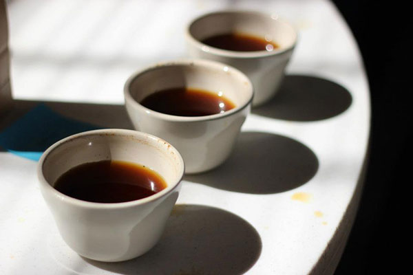 Three coffees lined up on a table ready for cupping at origin.